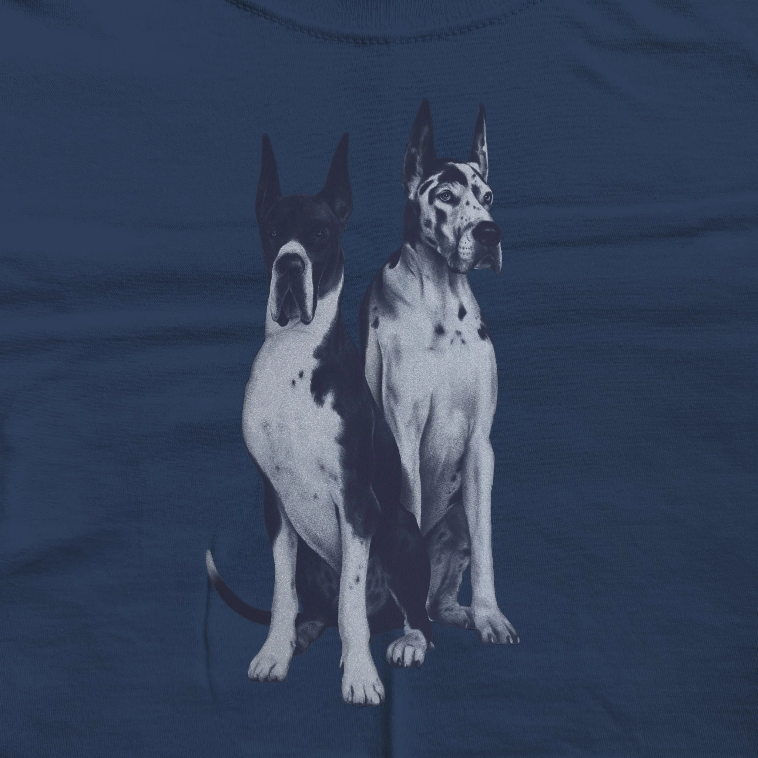 GreatDanes.jpg