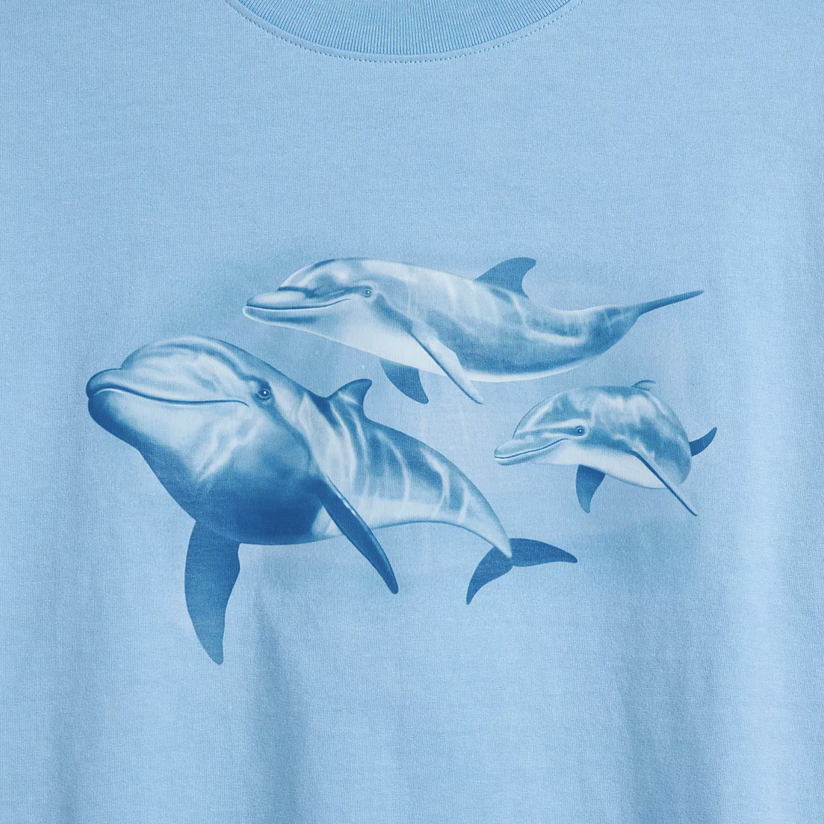 dolphin.png