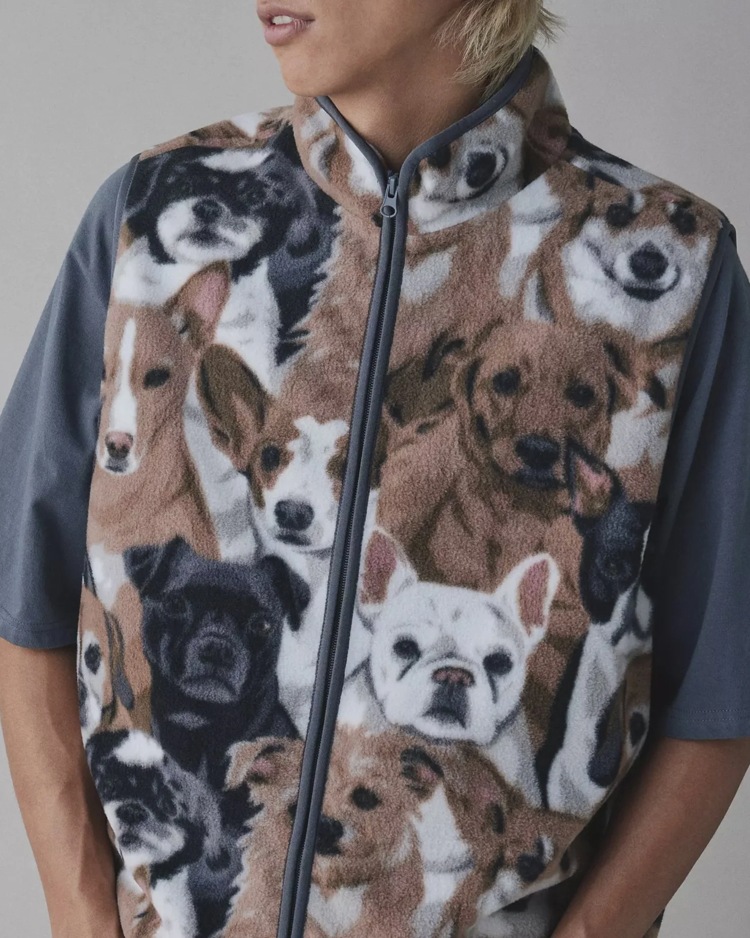 dogs.jpg