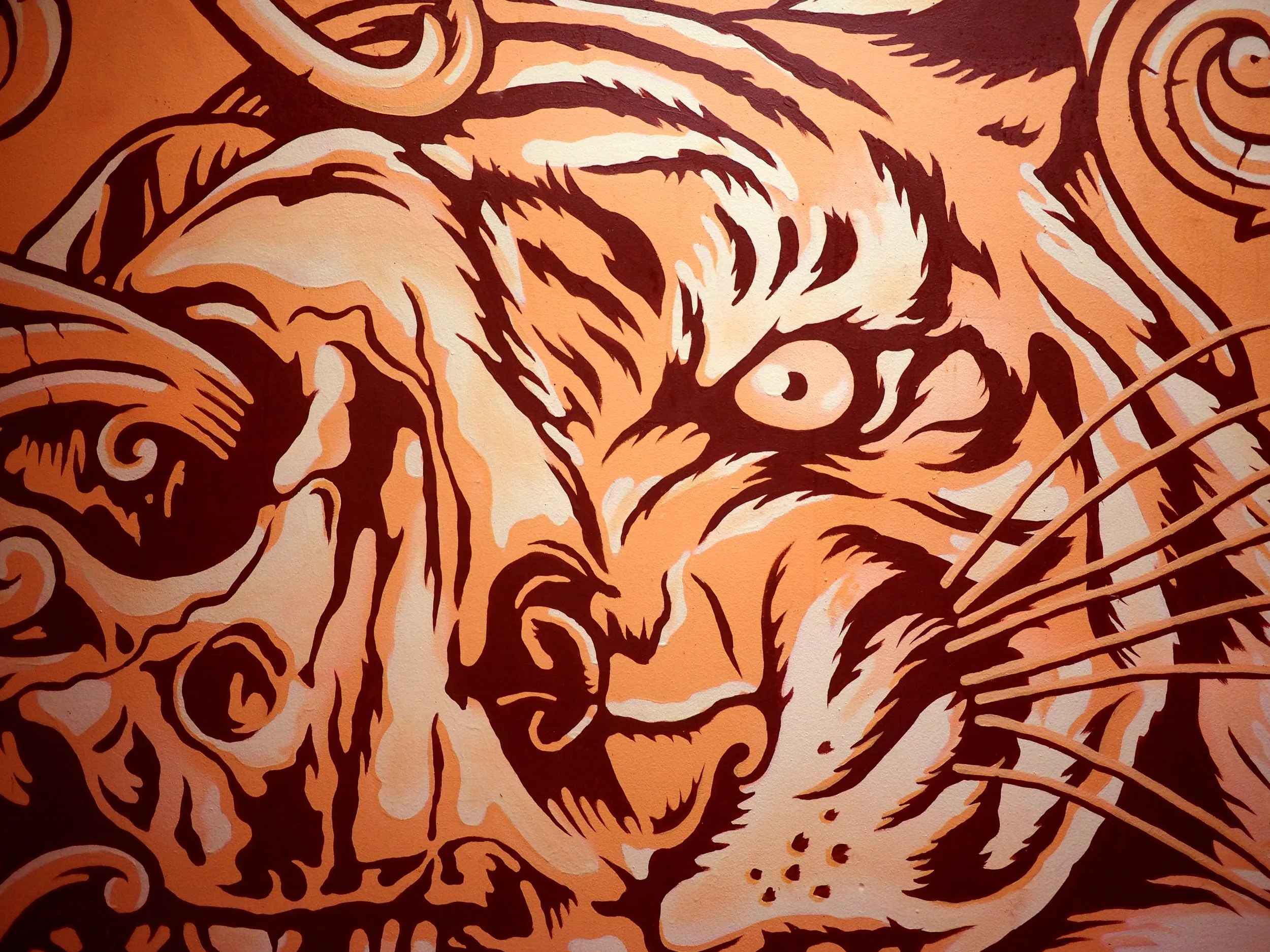 tiger_closeup_jpeg copy.jpg