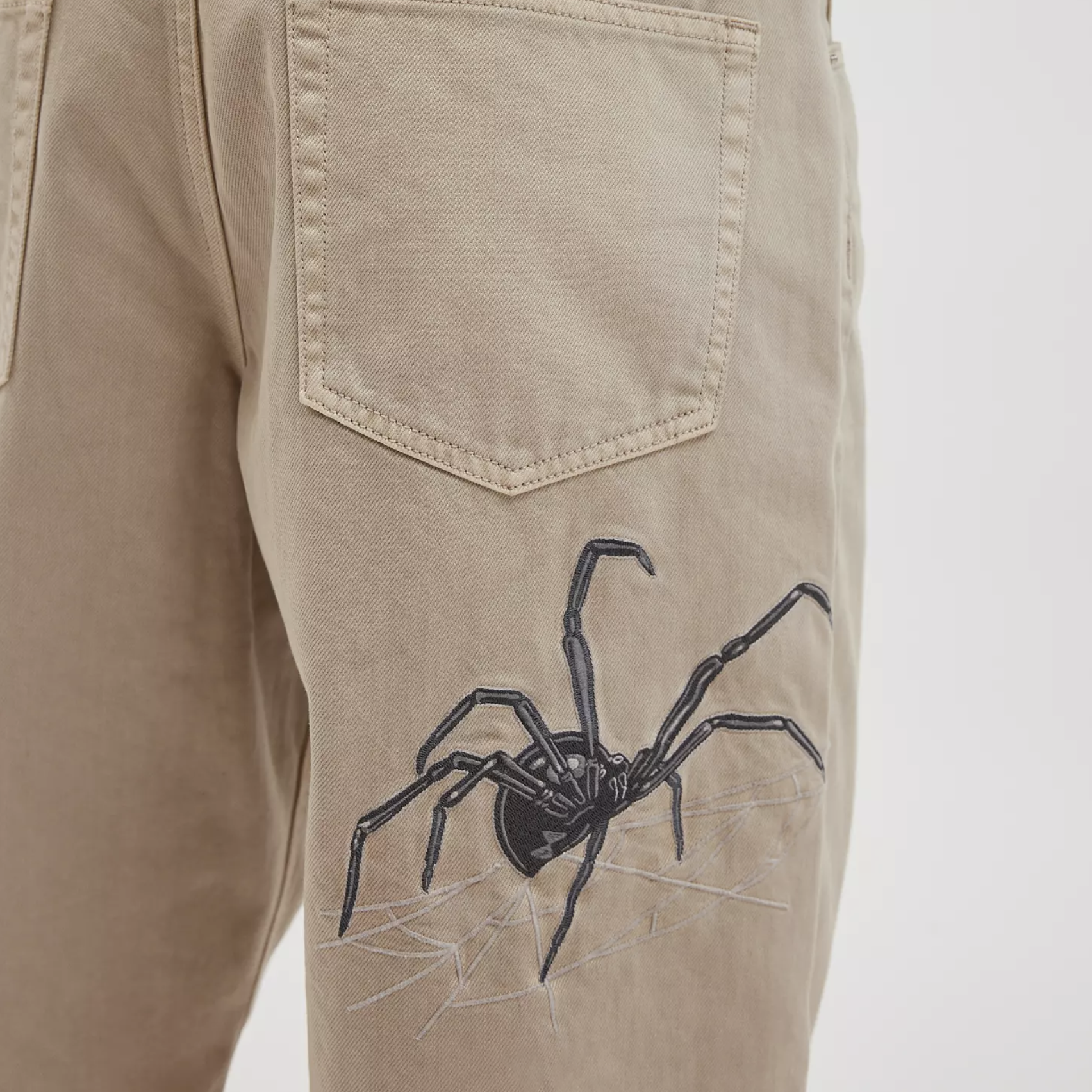 spider_sq.png