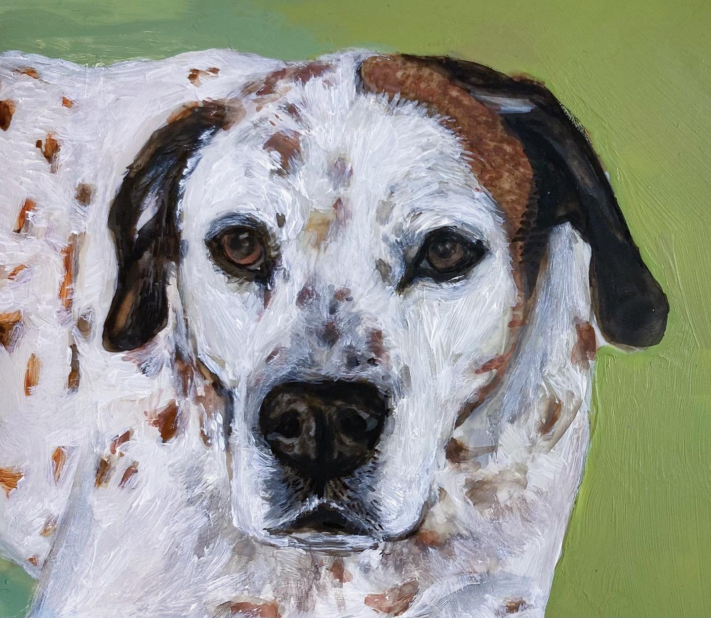 Oona (Wormser)&bull;Pit bull / German shorthair pointer mix&bull;7 years
Favorite activity: Running 
story: Oona would always run up to our front porch after a walk when we took her leash off and then sit there and wait for us.