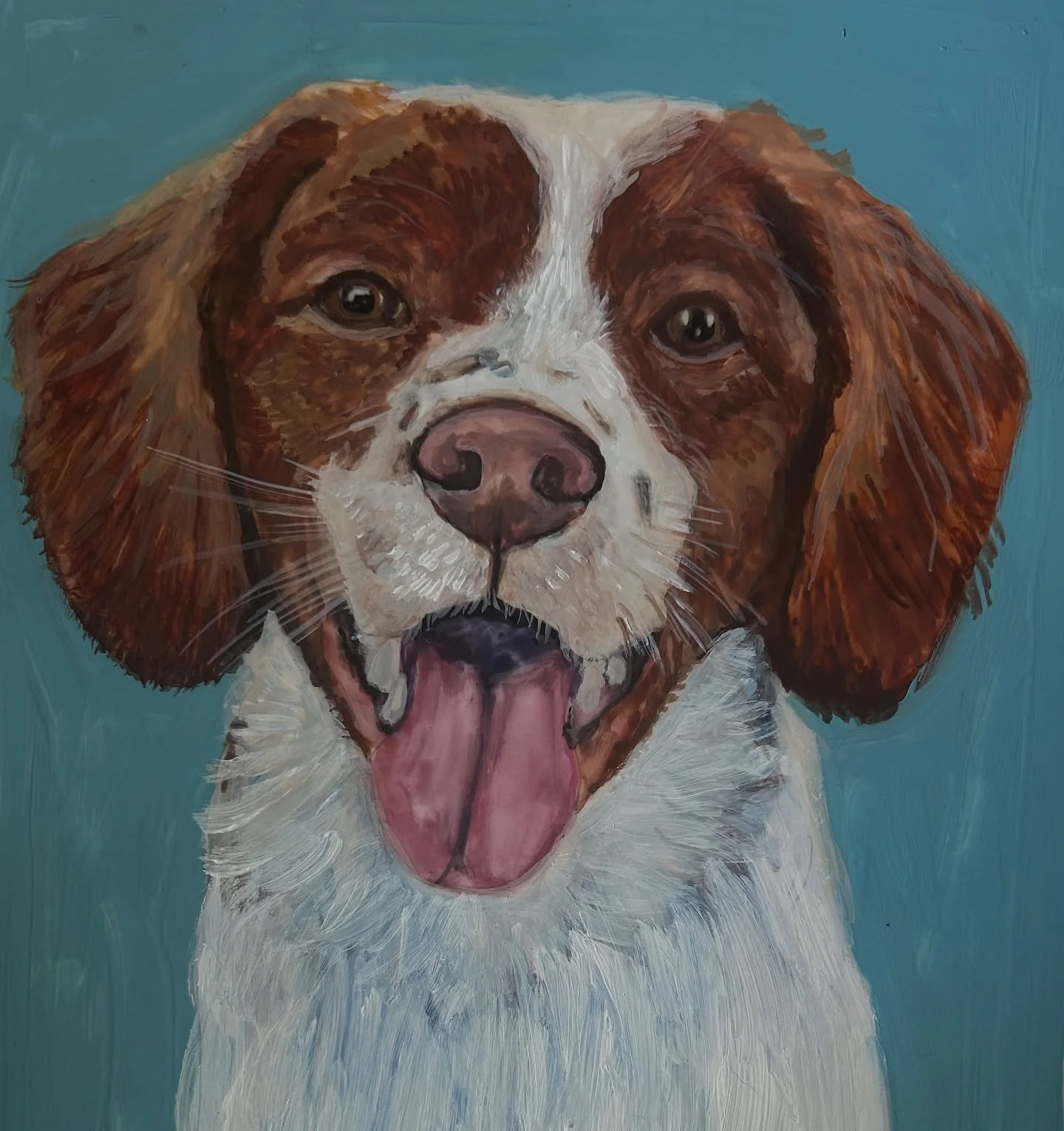 Zoe &bull;3years old
Breed: Brittany
Favorite activities: Snuggling, pointing at birds and squirrels, and eating her fruits and veggies.
Fun fact: Zoe loves chasing tennis balls but hates bringing them back! 

#brittanyspaniel #brittanypuppy #brittan