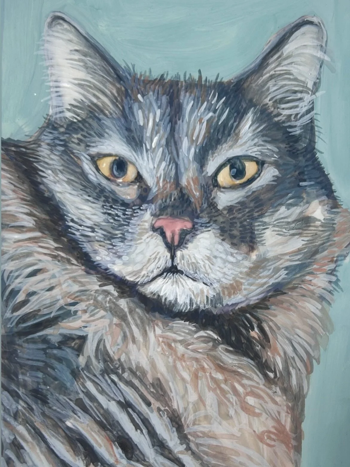 Darwin Donlan
13 (May 9th 2012)
Maine Coon
Cuddling and watching Bird TV
He loved his Rottweiler brother growing up, who loved gently playing with him when he was a kitten.

#mainecoon #maincooncat #catportraitartist #watercolormainecoon