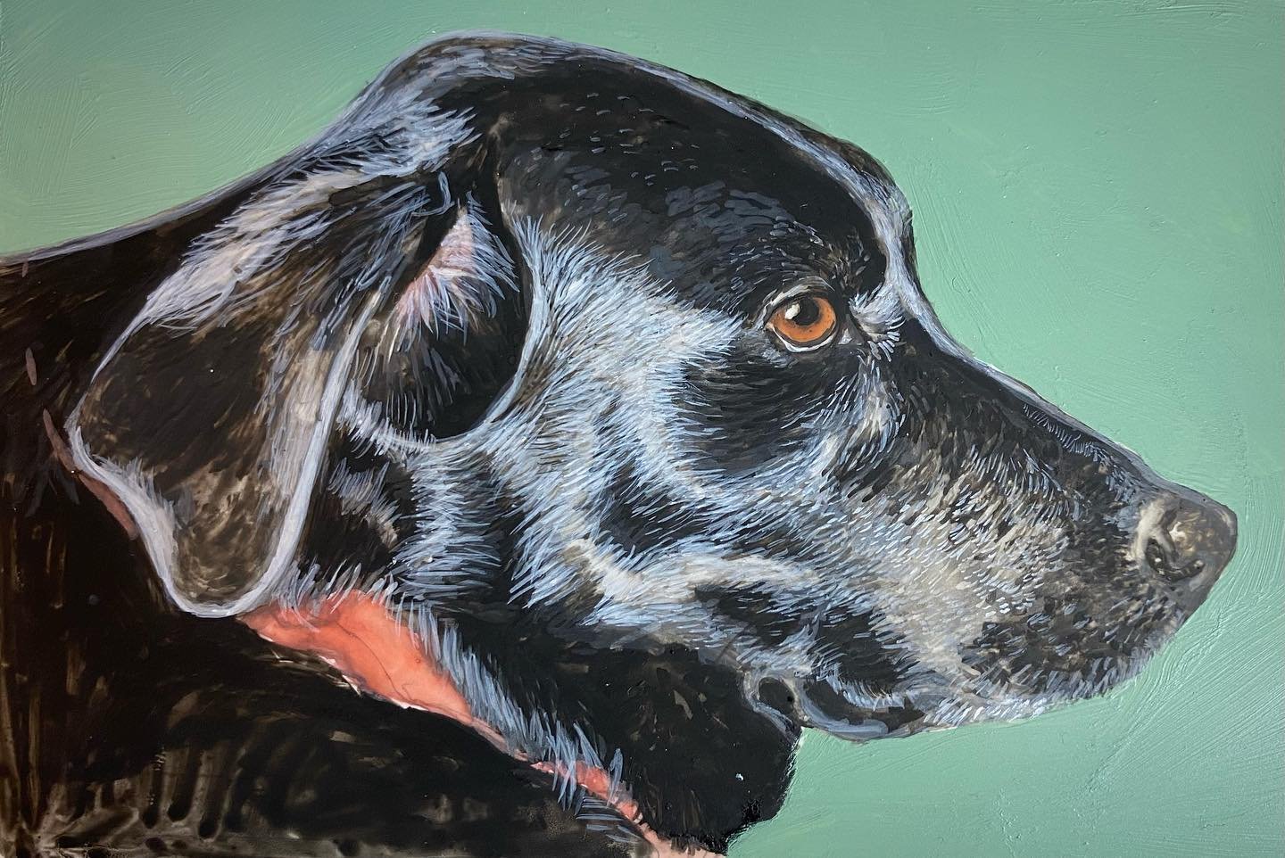 Oakley
&bull;2002-2011&bull;
Black Lab/Newfoundland
loved playing fetch and watching dog tv
out the window
Faced off with a bear in the backyard!