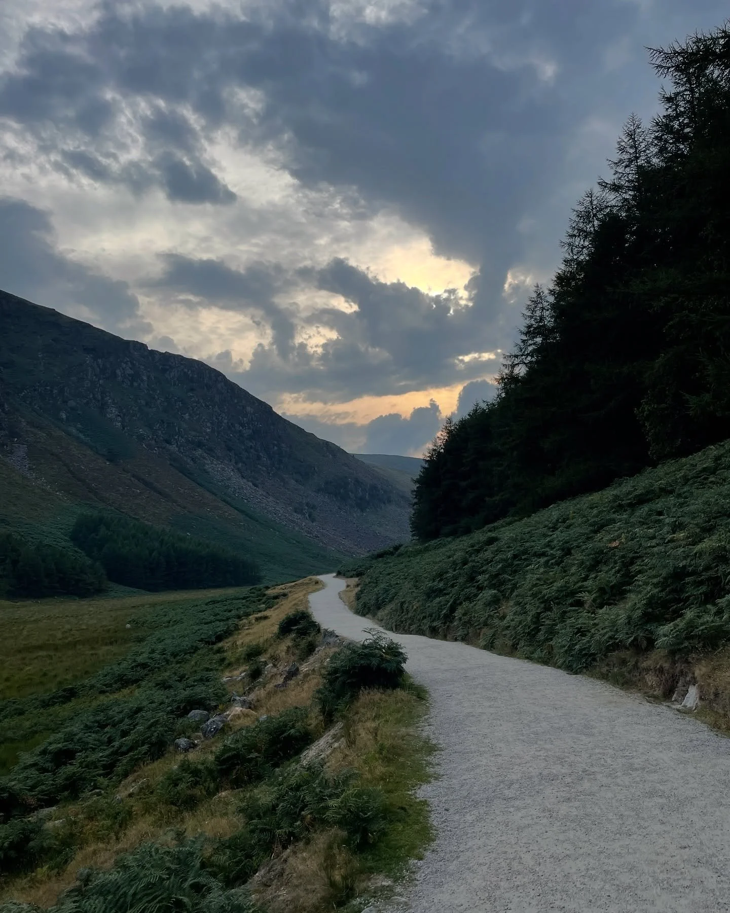 Ireland, Summer of 2022 ☘️