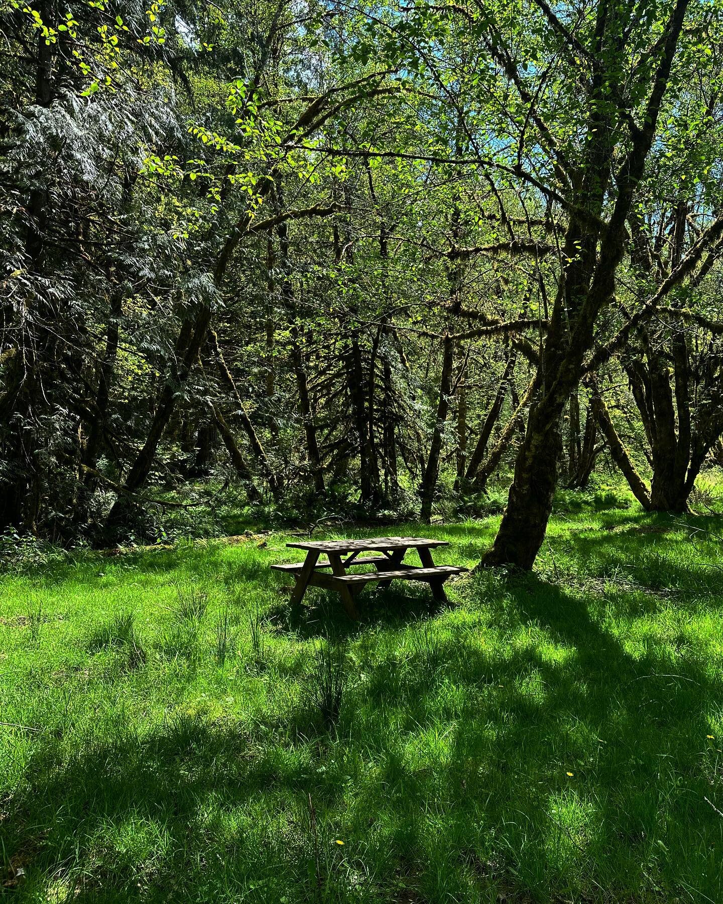 The picnic spot by the forest is back, thanks to Greg🌞

#oregonfarm #sheepfarm