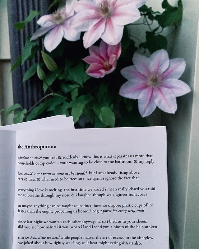 wishing you a happy #poeminyourpocketday to our friends @kenyonreview with this excerpt from If Organic Deodorant Was Made for Dancing by @virginia_kane 🌸✨
