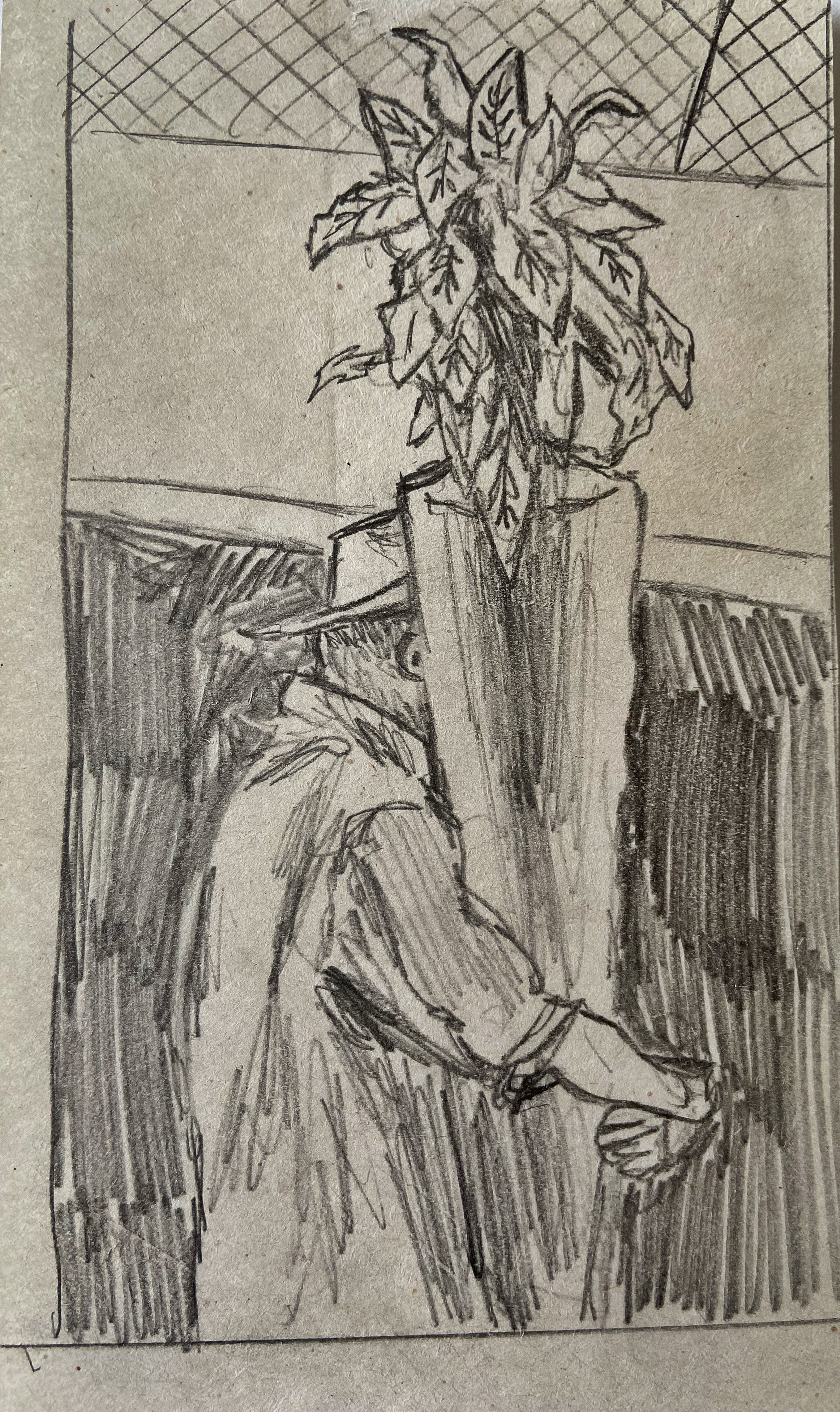 Carrot man | Melbourne | pencil | 2023
