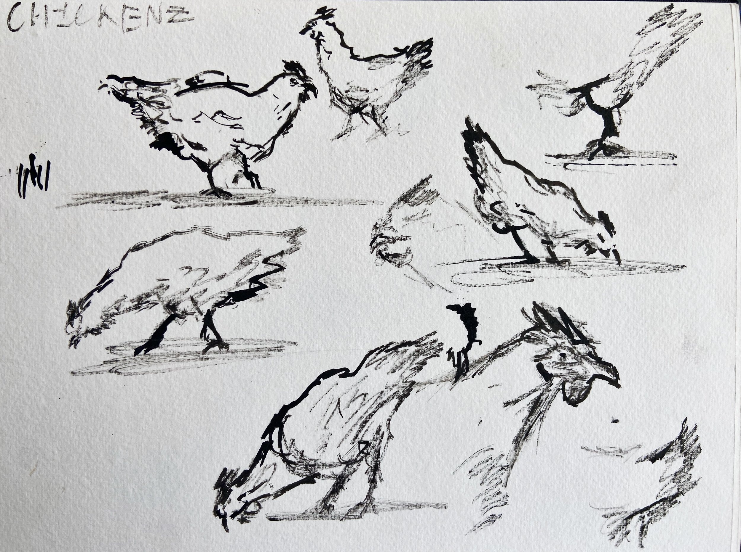 Chickenz | ink | 2023
