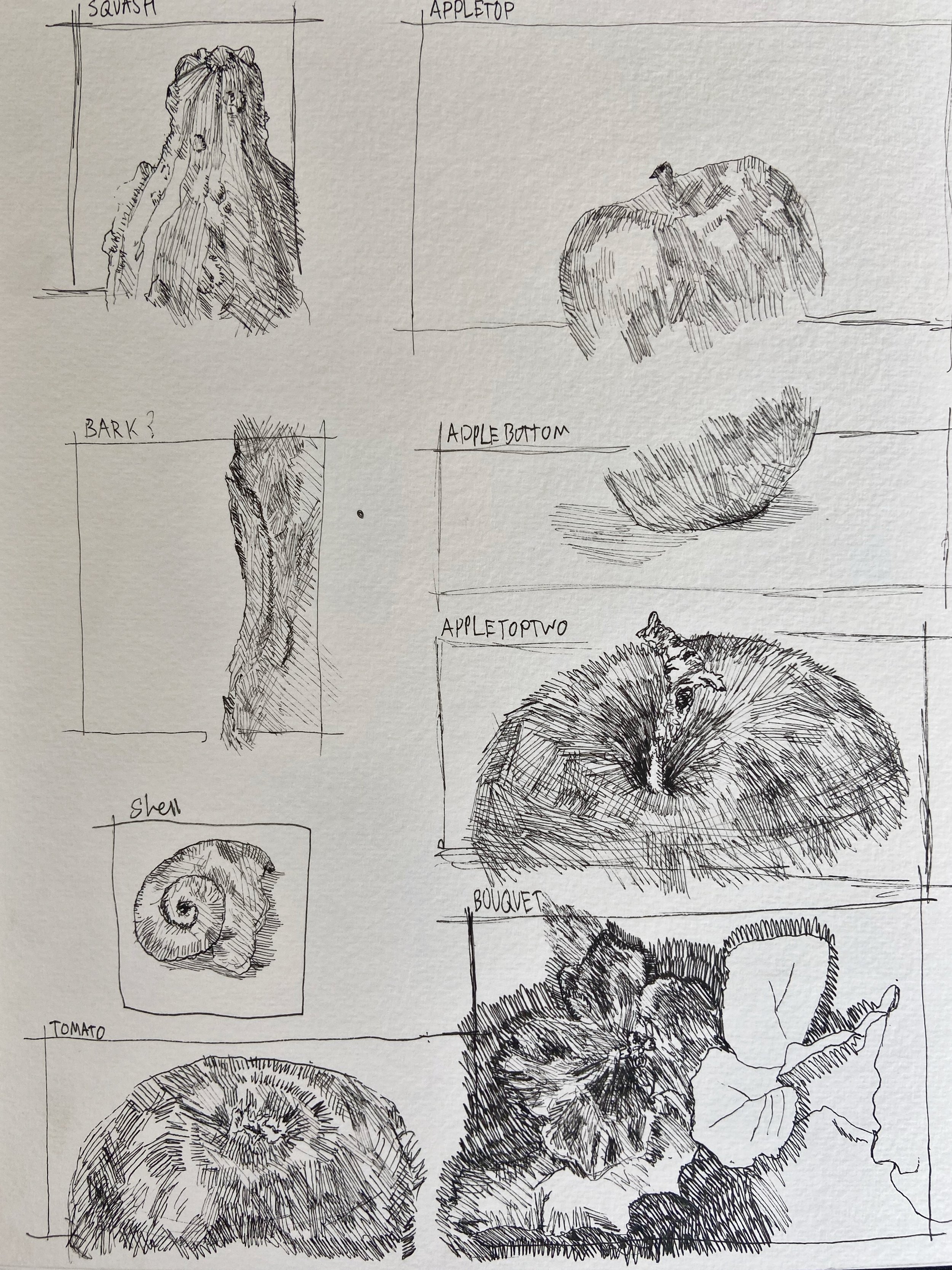Studies | pen | 2023