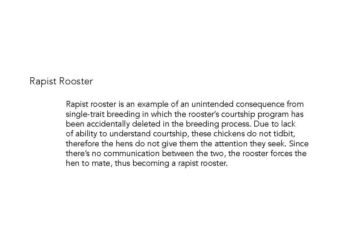 Chicken Stories E-book sgle page_Page_09.jpg