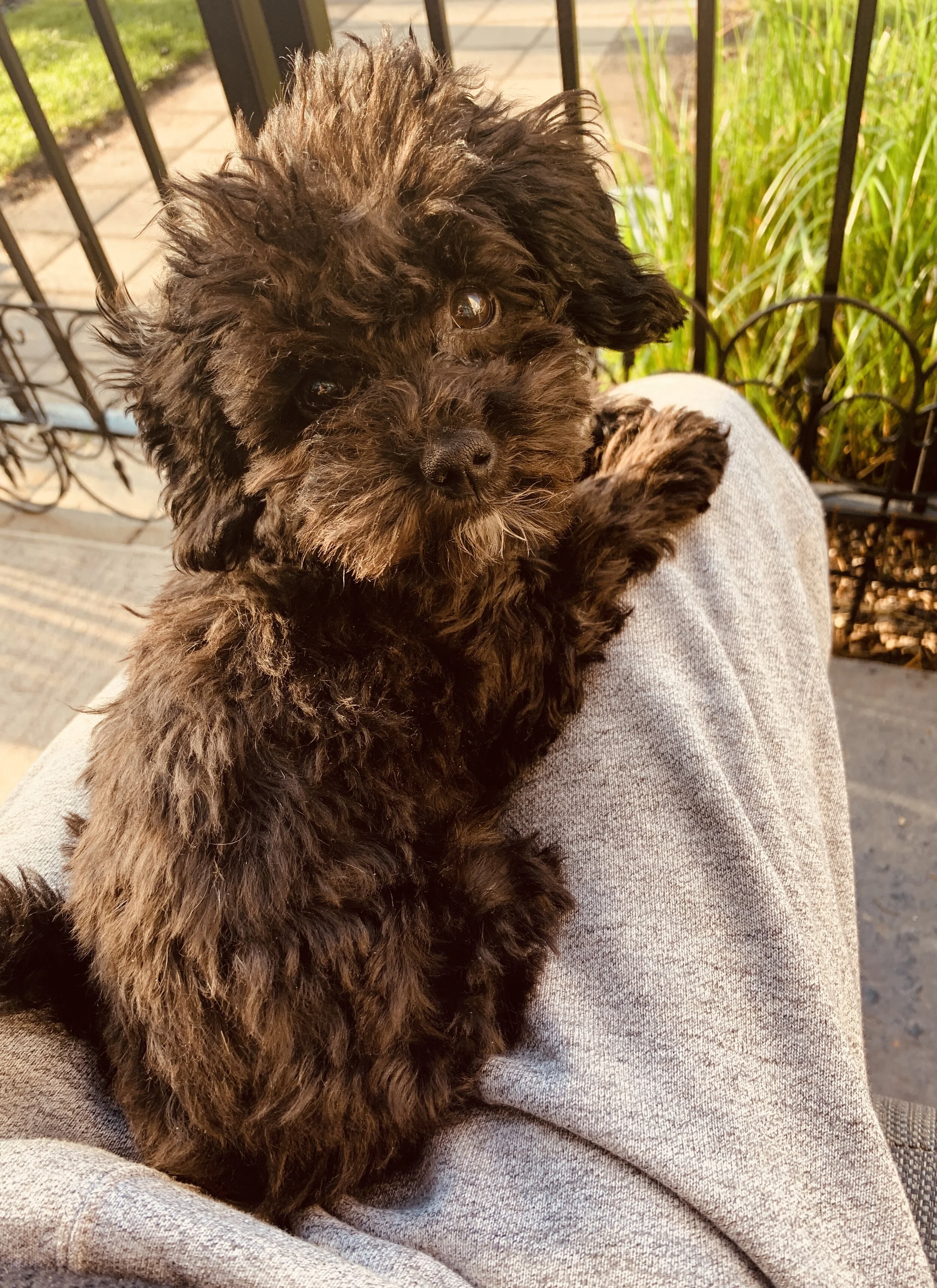 I Think I'm Going Mad