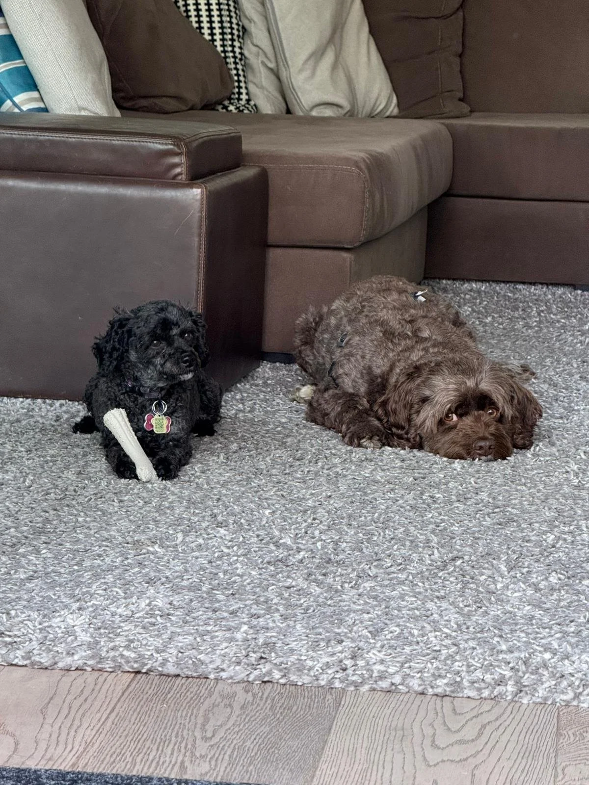 Some Days You Simply Don't Have A Lot To Say