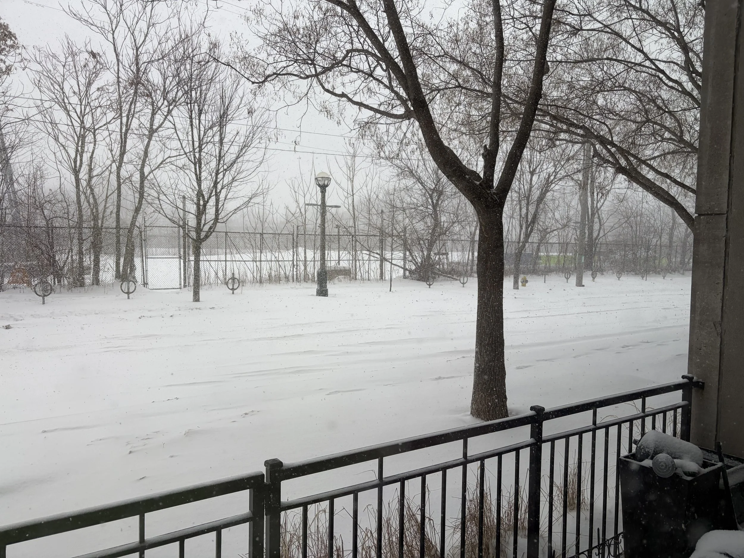 I Think It's Time to Leave