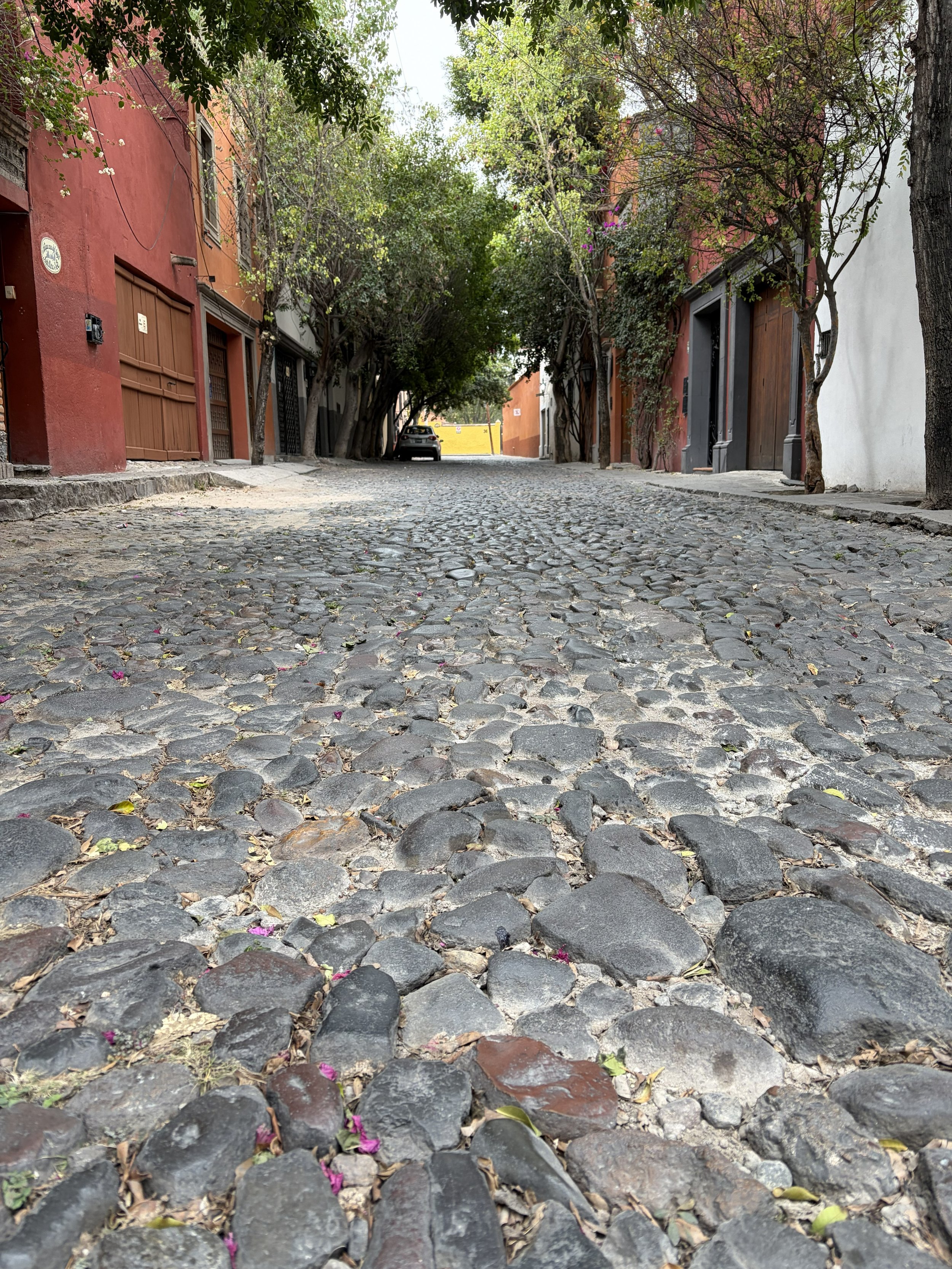 Week 1 - In San Miguel Is In The Books