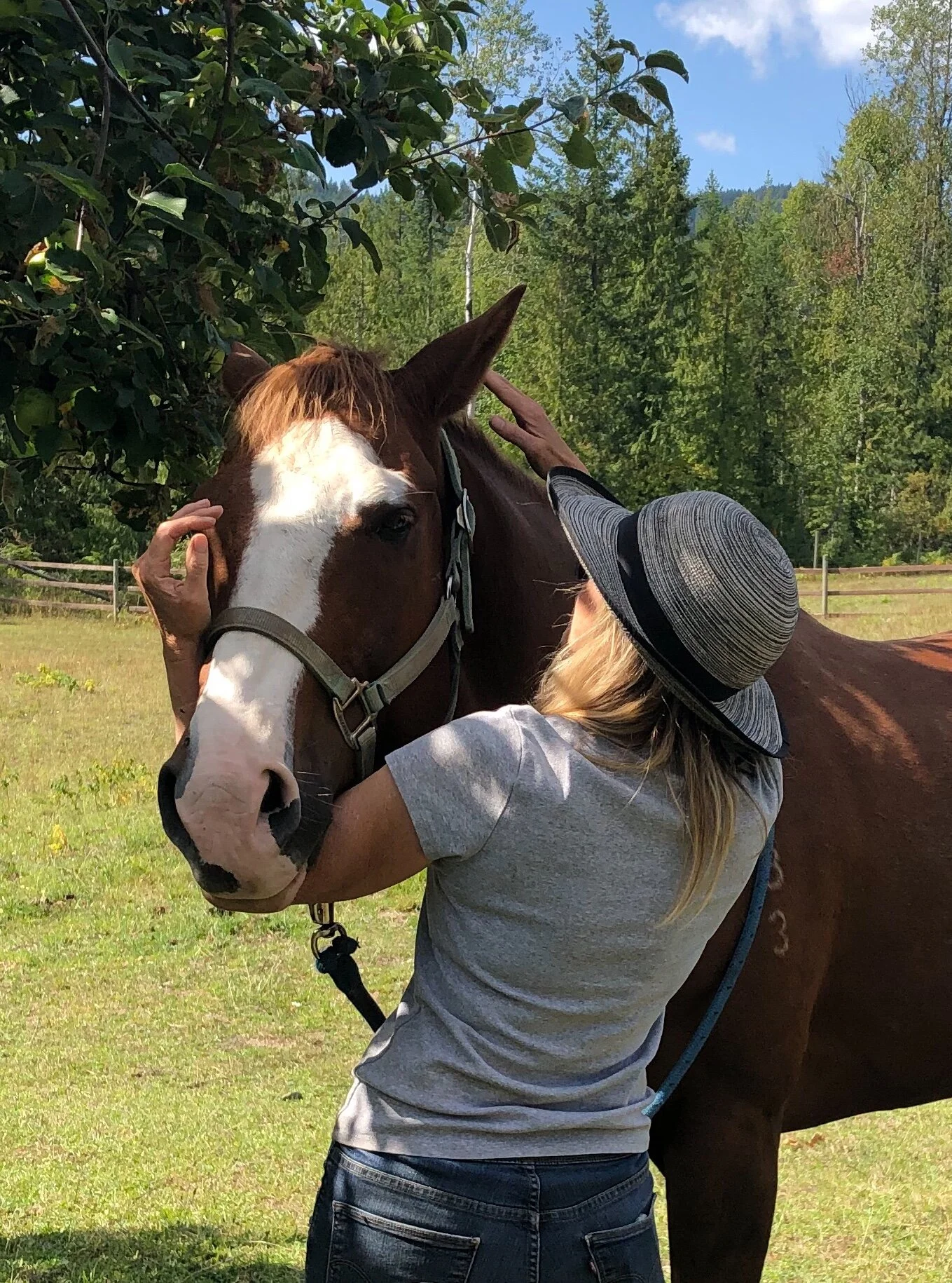 Soul Equine Bodywork