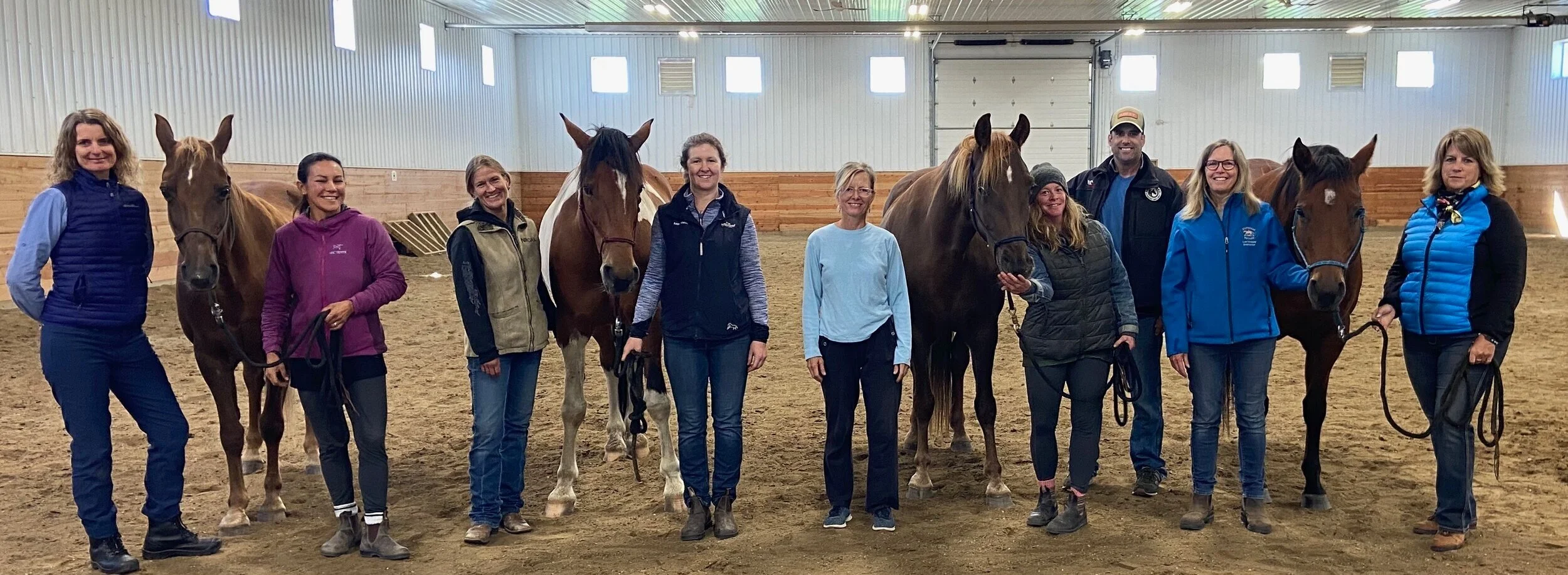 Masterson Method — Soul Equine Bodywork