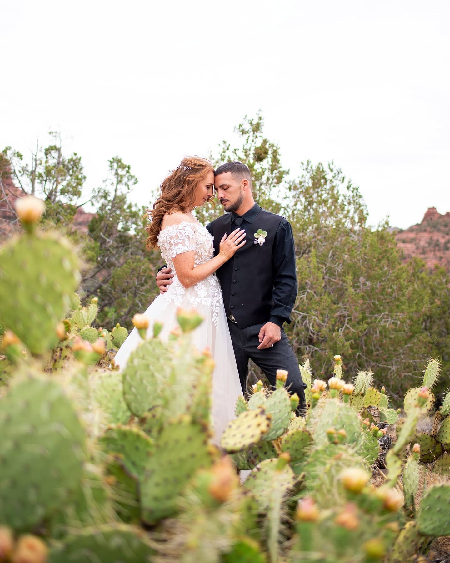 a love that blossoms like the cacti flowers
&bull;
reminiscing about this gorgeous days on the red rocks with the sweetest, most kickass couple ever!

eloping can be whatever you make of it! these two invited their closest friends and family to rende