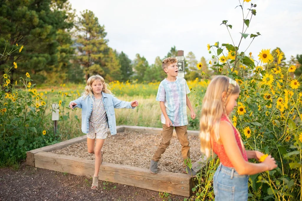 Candid of kids exploring in the wildflowers during Flagstaff family photography session