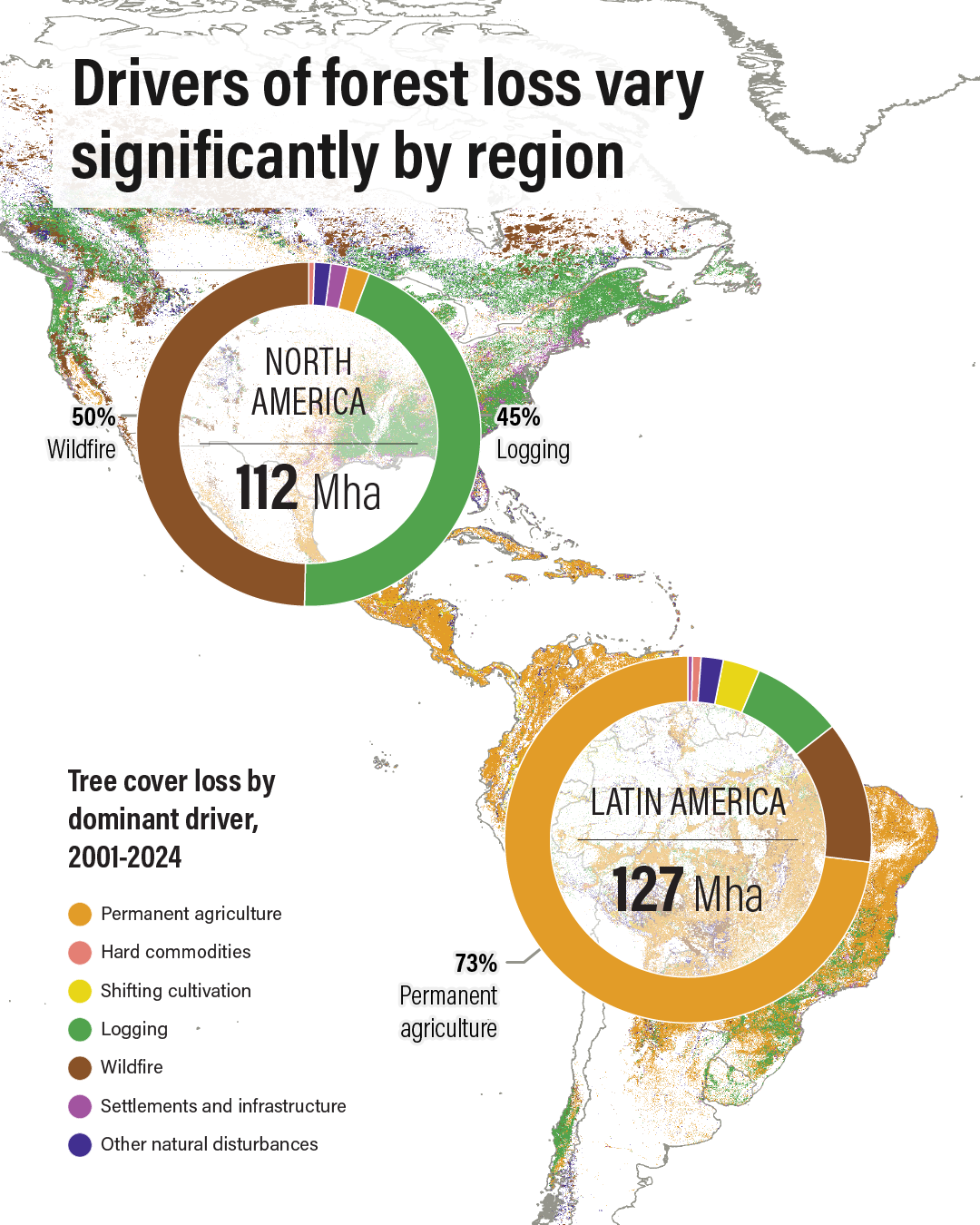 Drivers of Tree Cover Loss