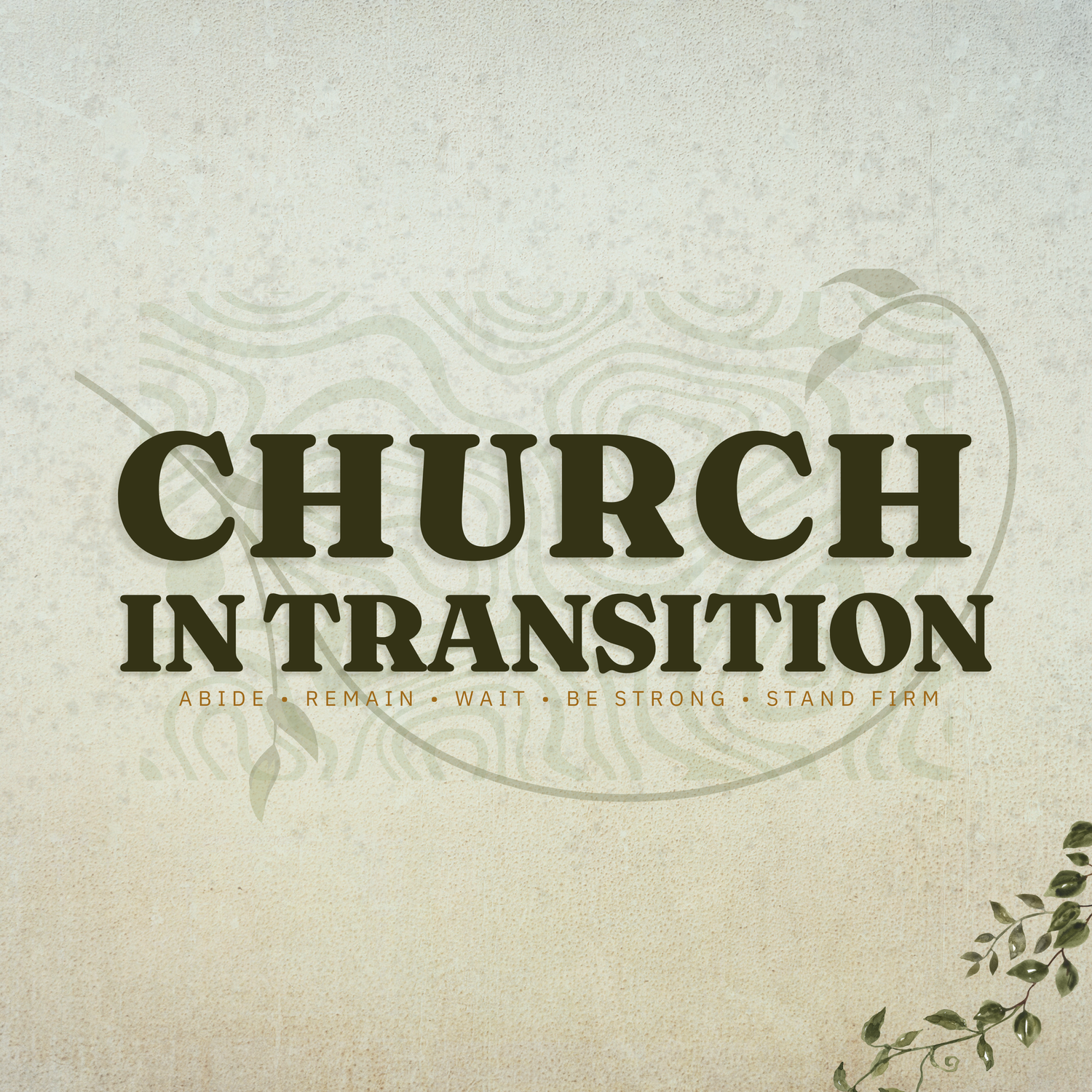 Church in Transition | Be Patient & Stay on Mission episode artwork