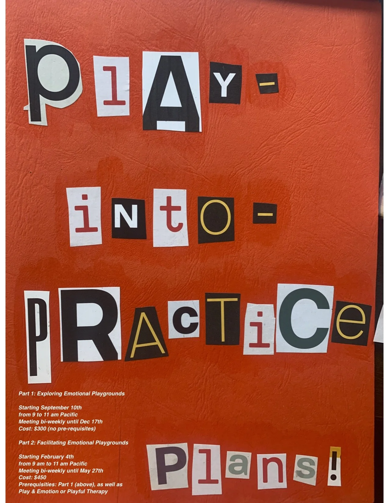 Play into Practice Cover.jpg