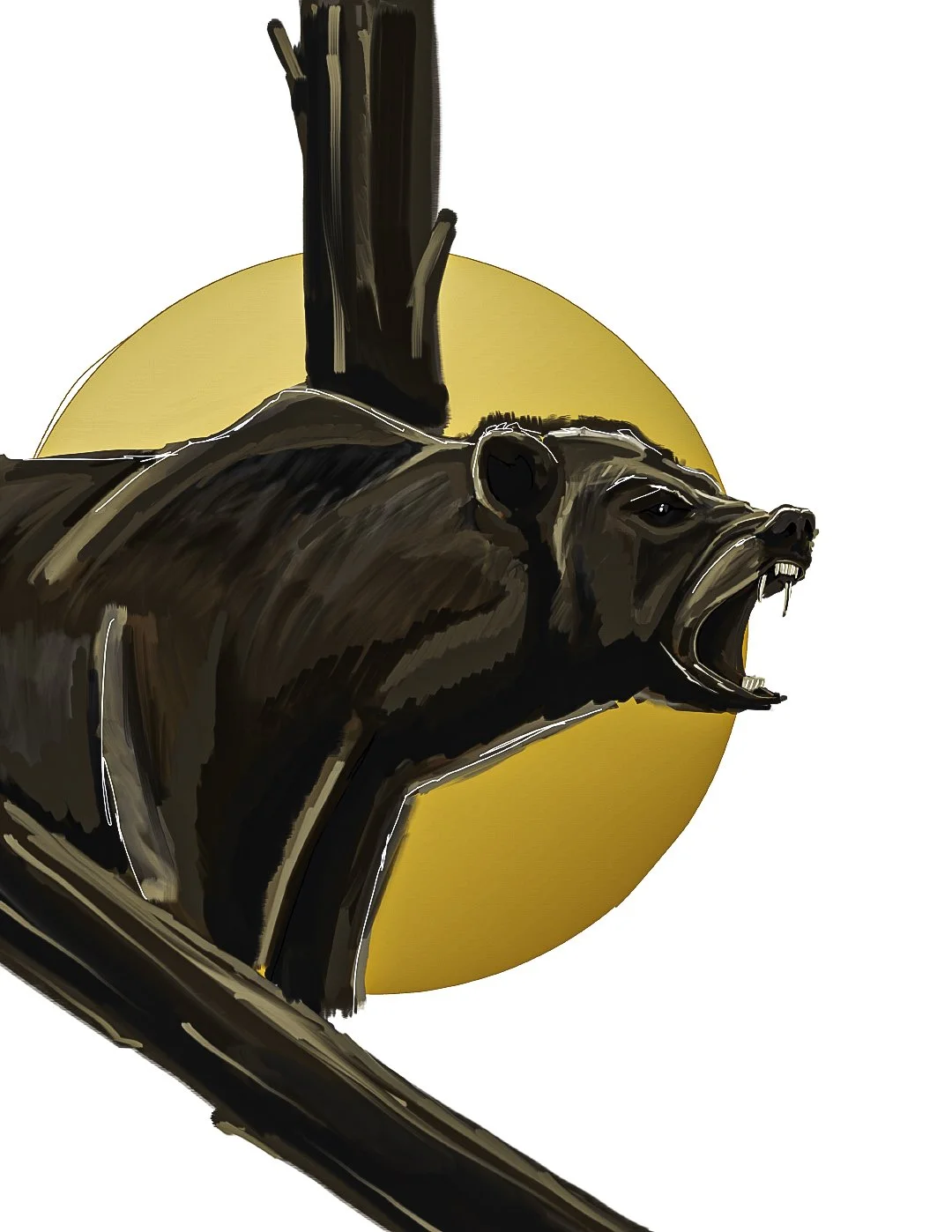 bear_drawing.jpg