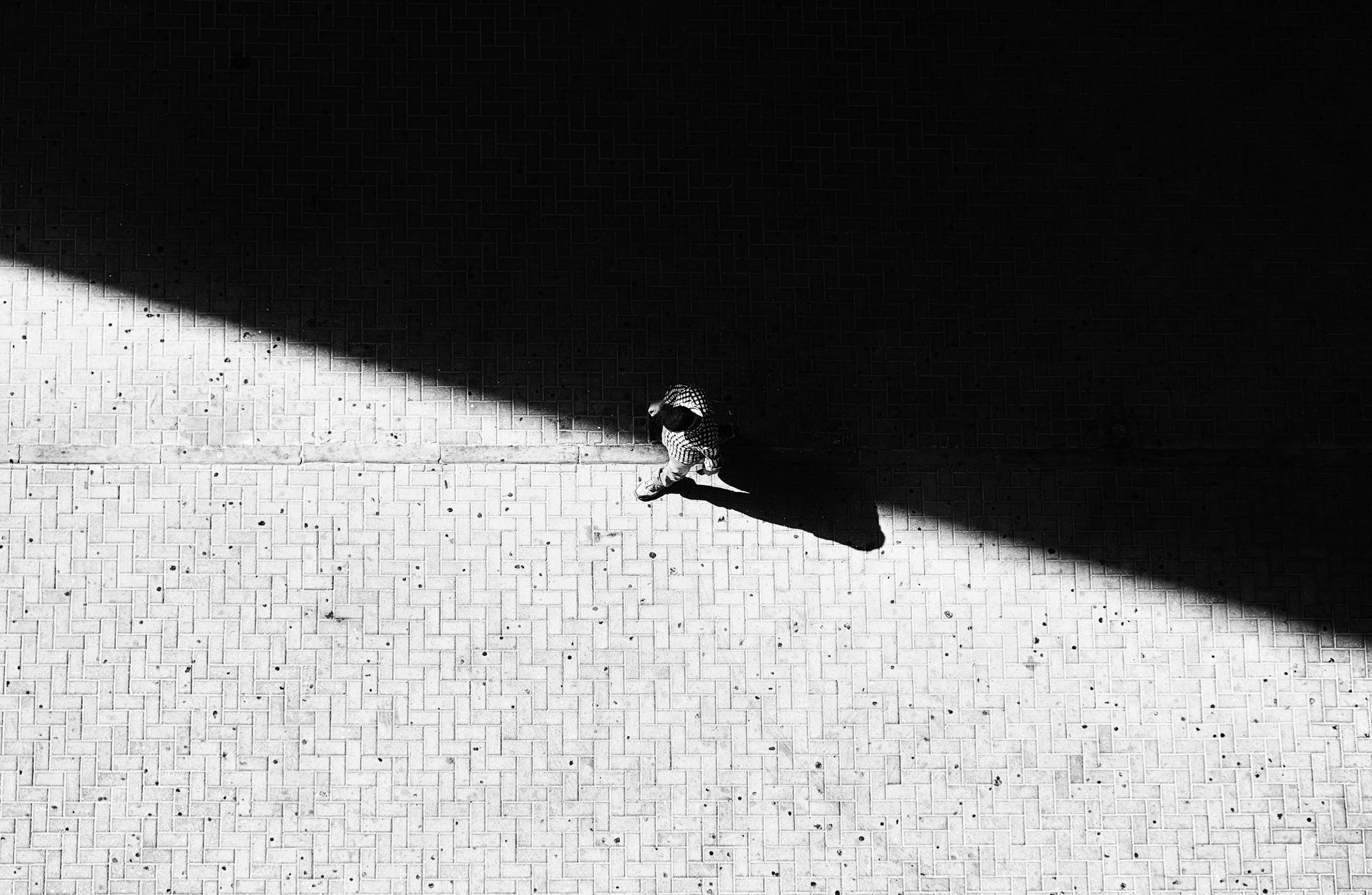 Little Bird