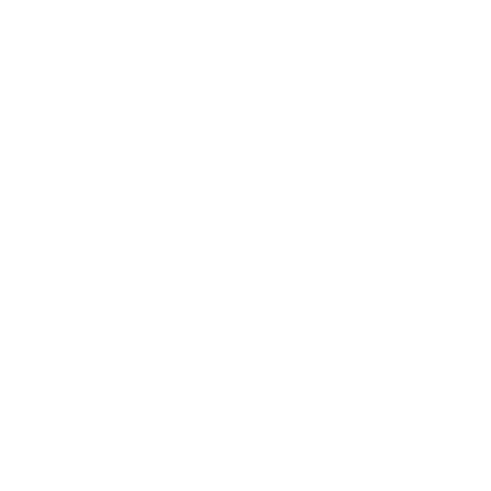 Ned R. McWherter Charitable Foundation White Logo Transparent.png