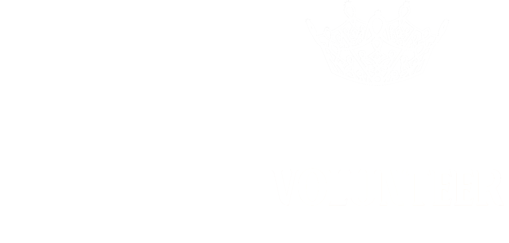 South Carolina Logo WHITE.png