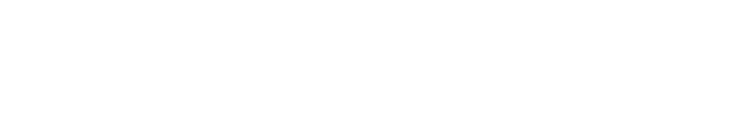 Darren Lykes Logo White Transparent.png