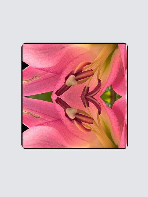 https://i.etsystatic.com/20895634/r/il/666b7d/6538704085/il_fullxfull.6538704085_egef.jpg