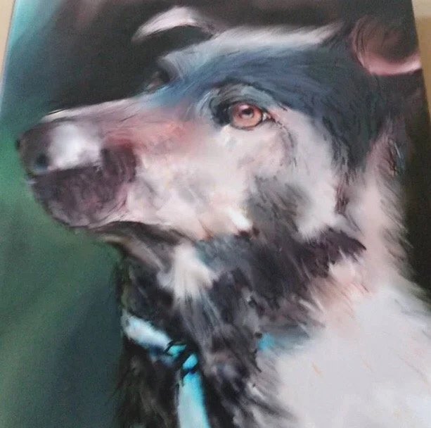 Kuda - Pet Portrait - Dog