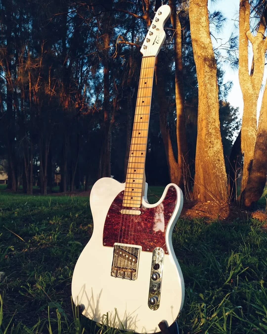 Favourite season. Favourite guitar day. 
@tolvanenguitars
#SpringHasSprung
#TeleTuesday 
#HelloSeptember