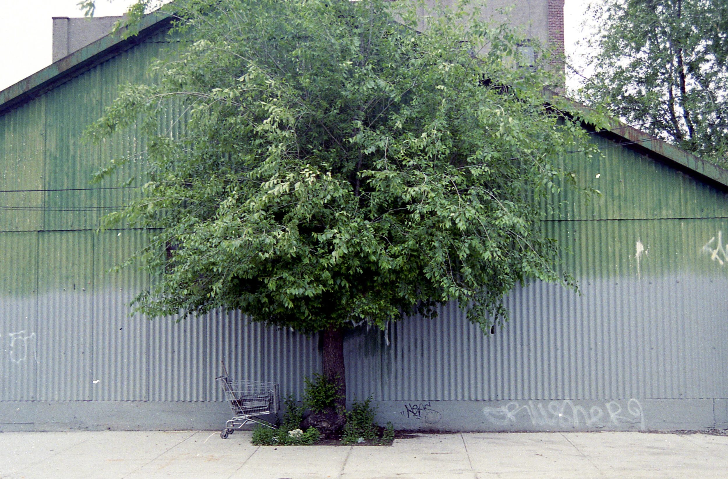 Bushwick, Brooklyn, 2006