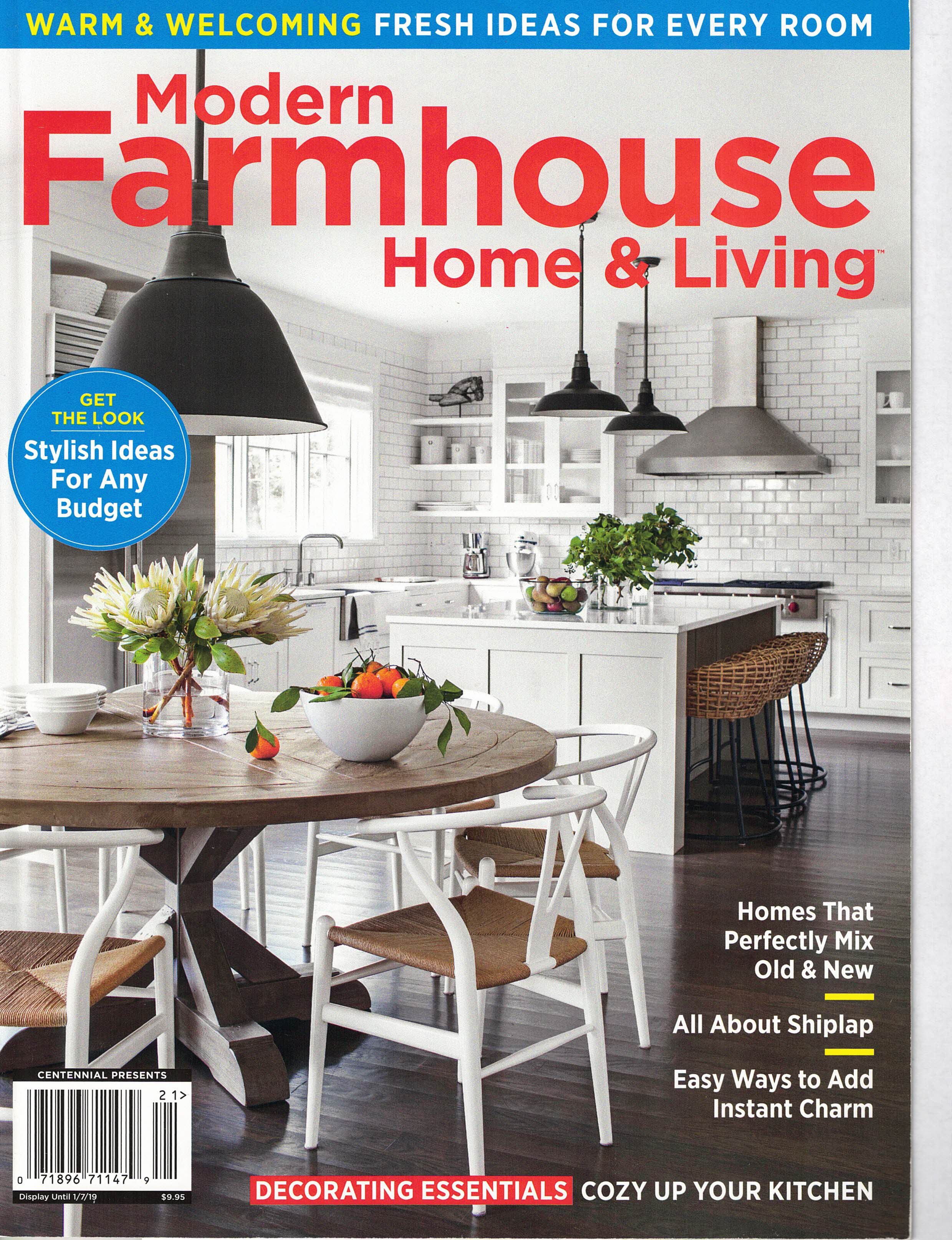 Modern Farmhouse 2019 cover.jpg
