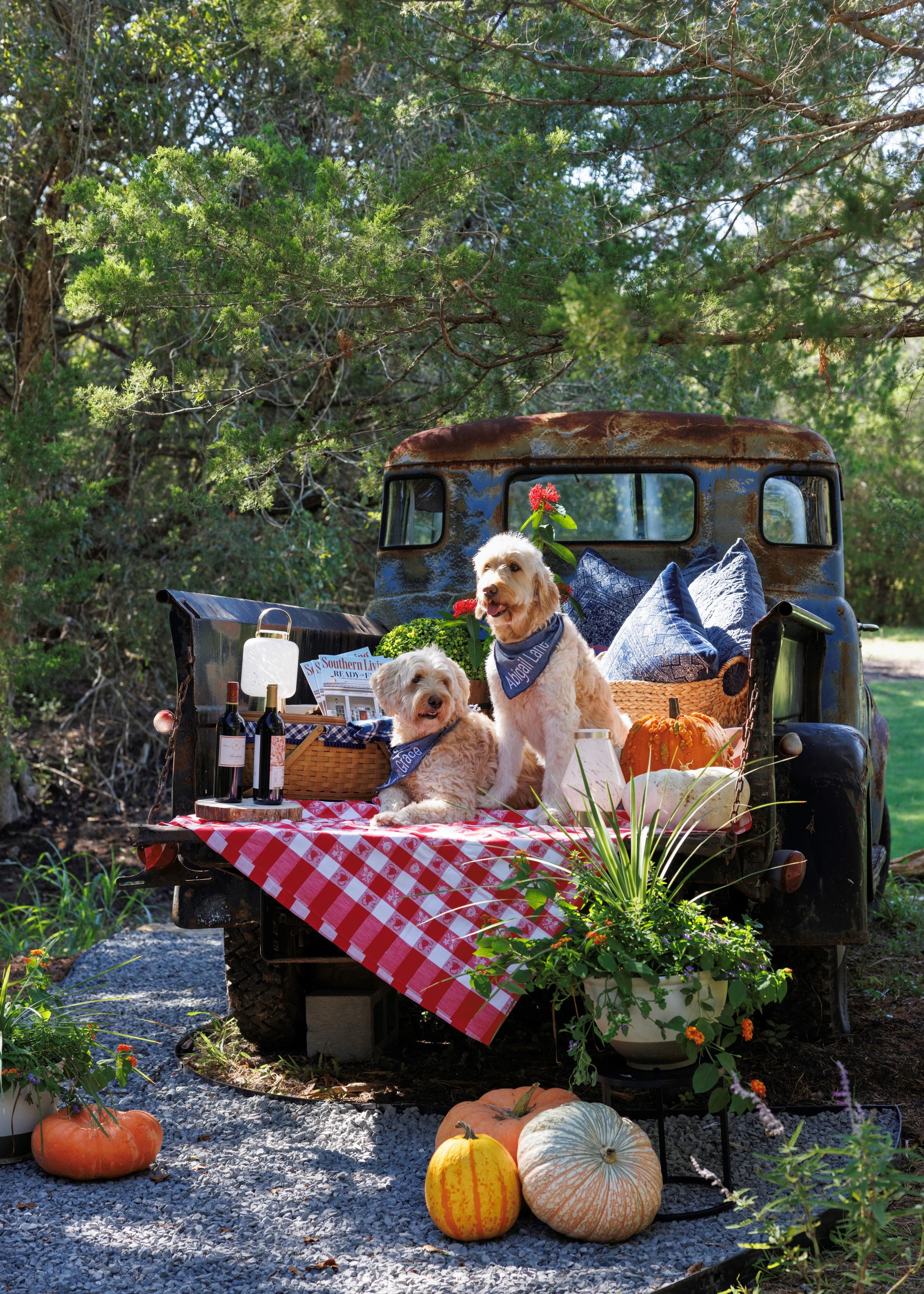Southern Living - Retro Truck in the Backyard.jpg
