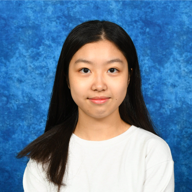 Nth Room Analyzing the South Korean Telegram sex crime case Buddy 