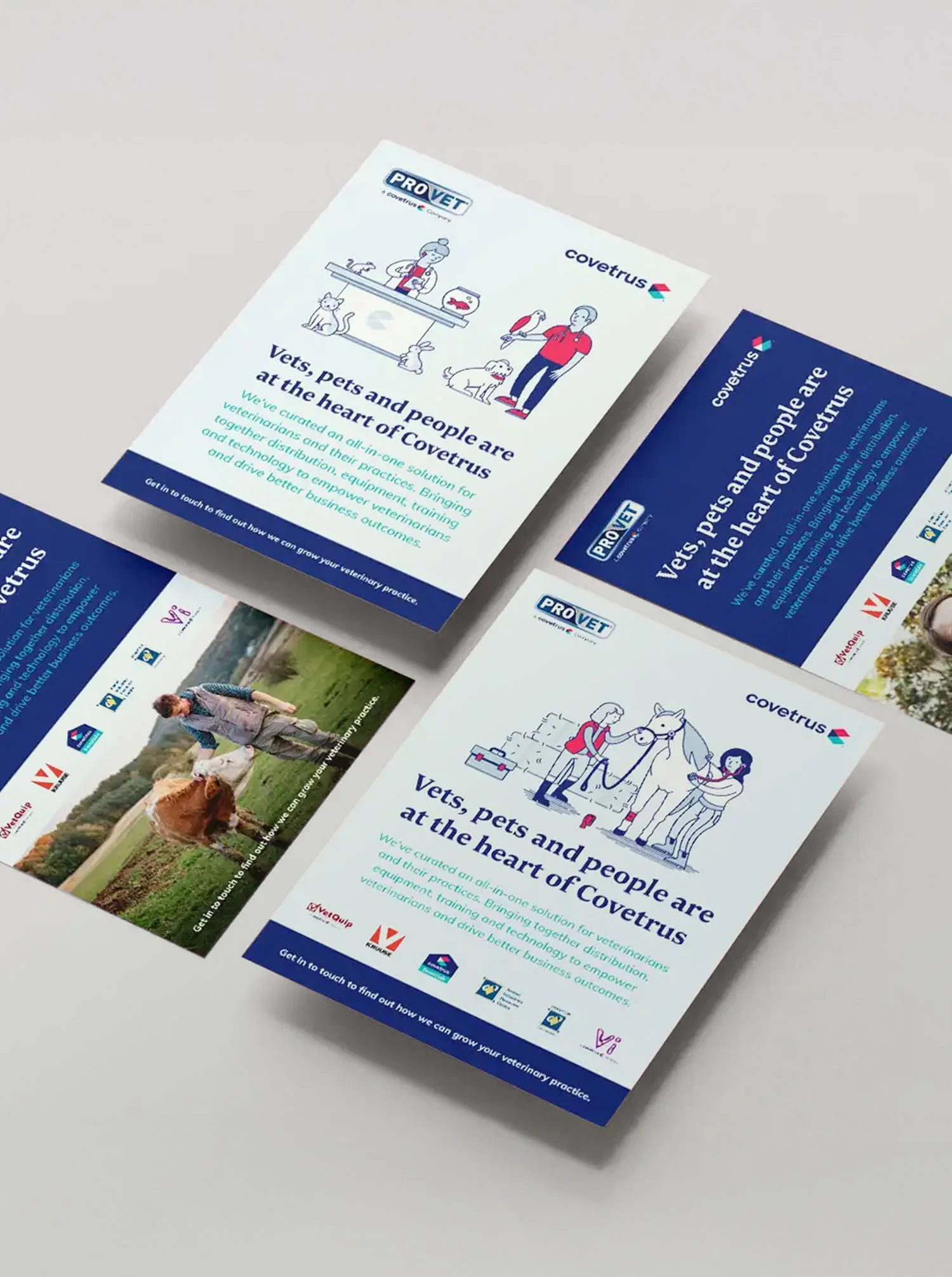 COVETRUS   |   Branding & Content Strategy