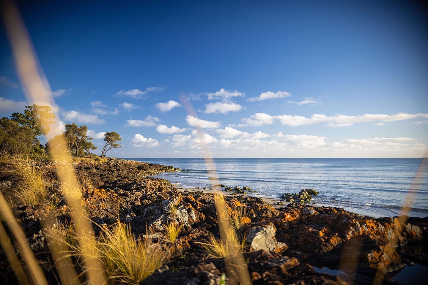 Bridport on Tasmania&rsquo;s North Coast. Pretty hard to beat on a glassy day! 😍

We loved our stay here and you can find more of it in our most recent 🎥 on YT. Link in bio.