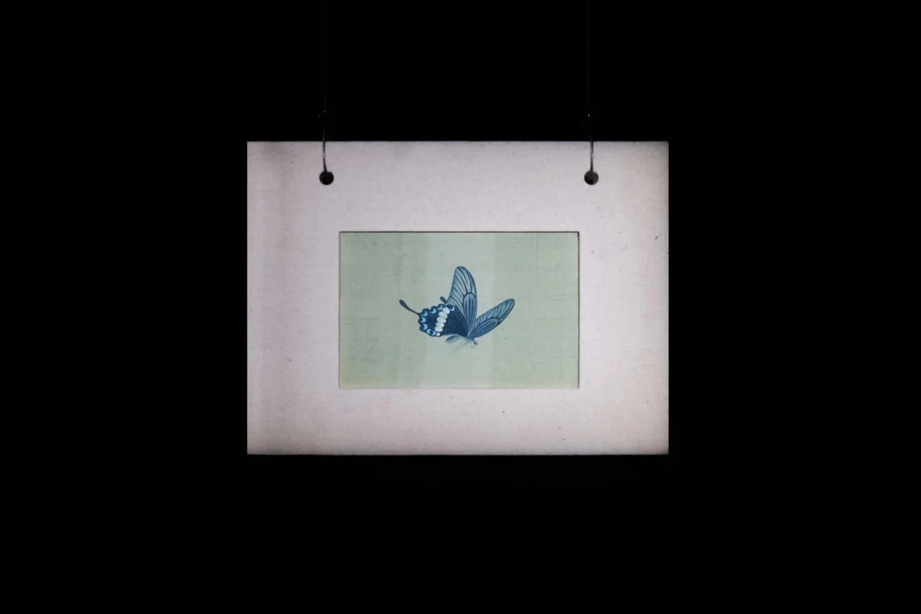 Works_Xun_Brownie%2BProjects%2BGallery_0531_1.jpg