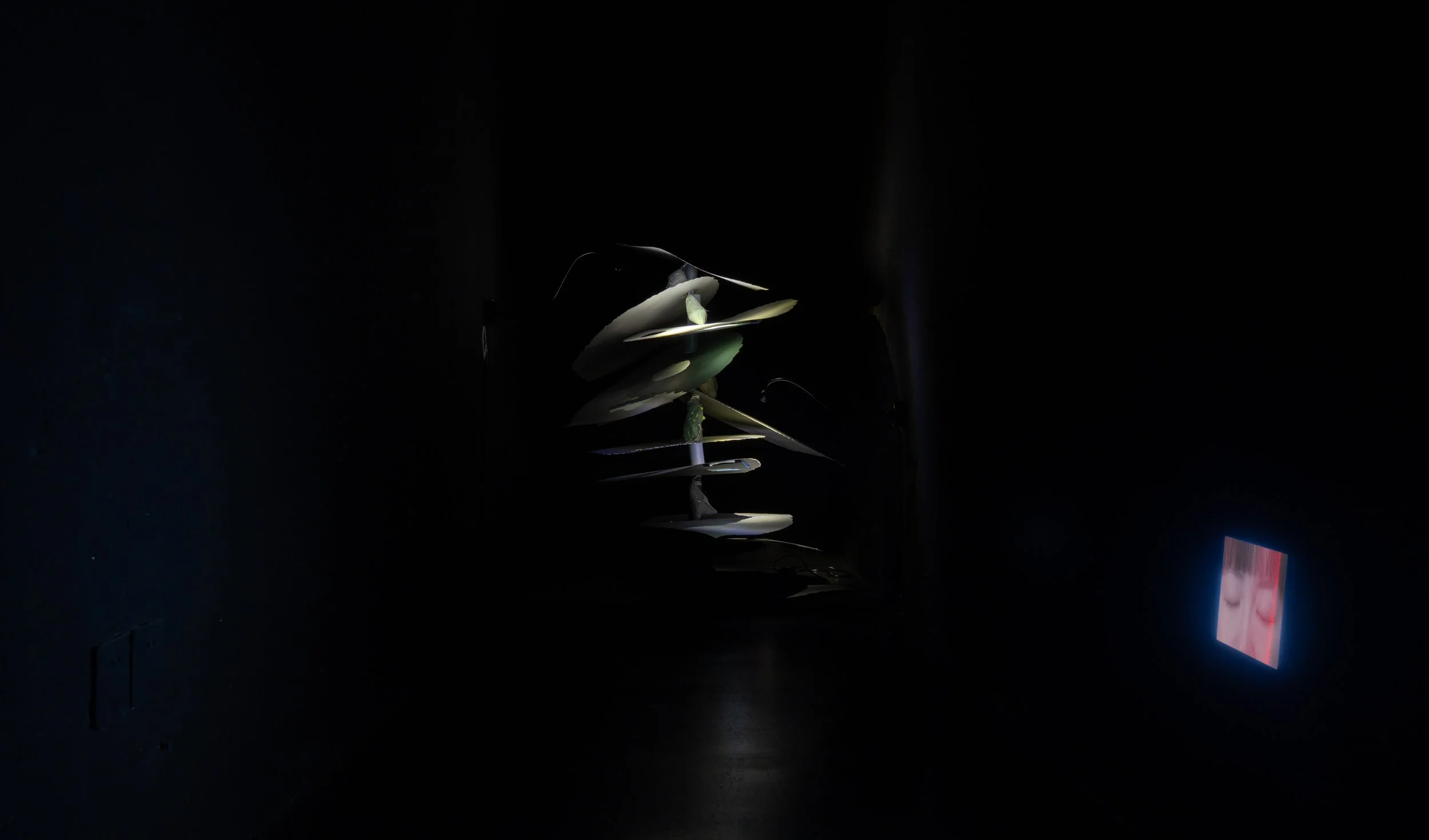 DSC03070.jpg