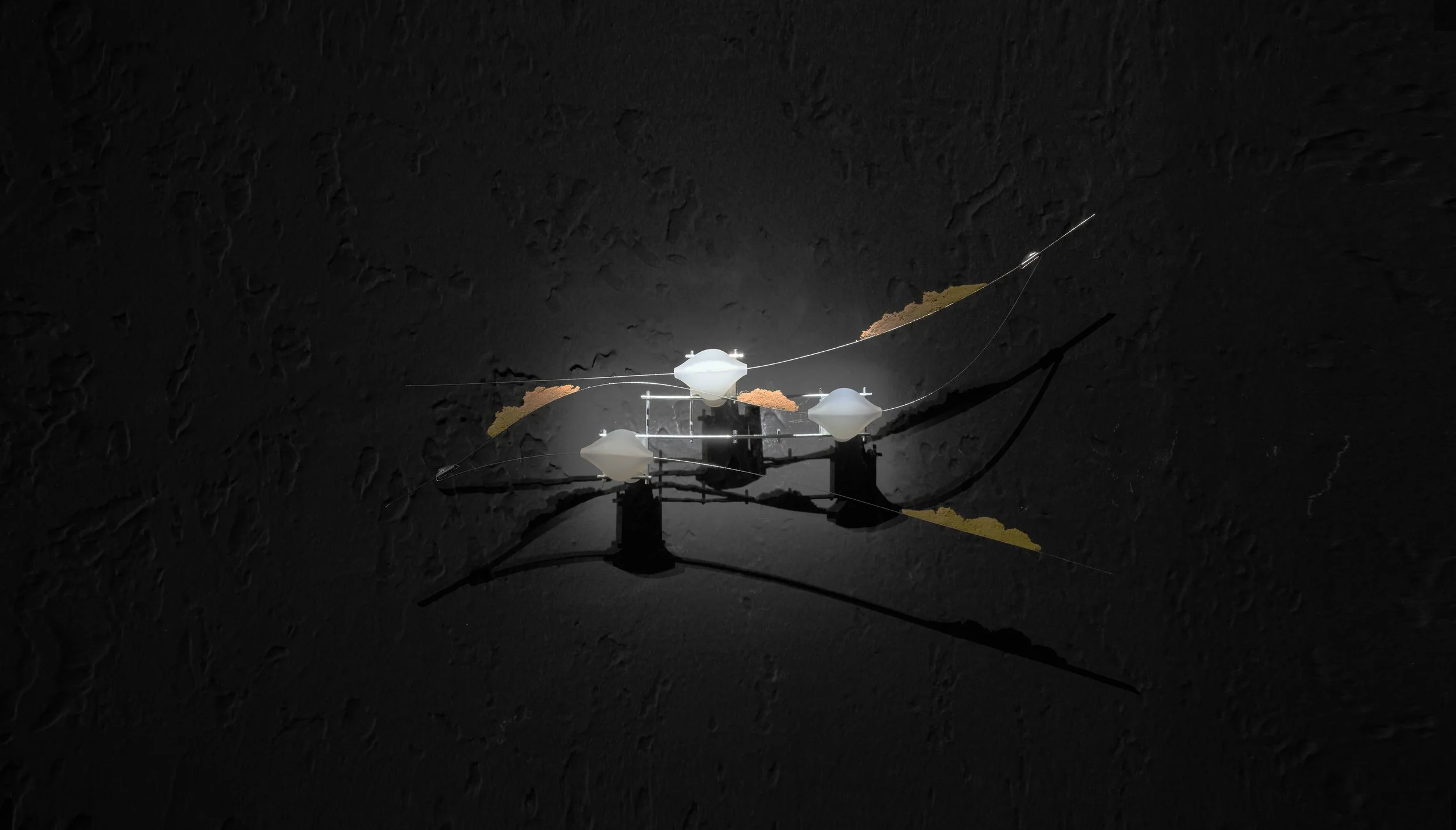 installation Views_24.jpg