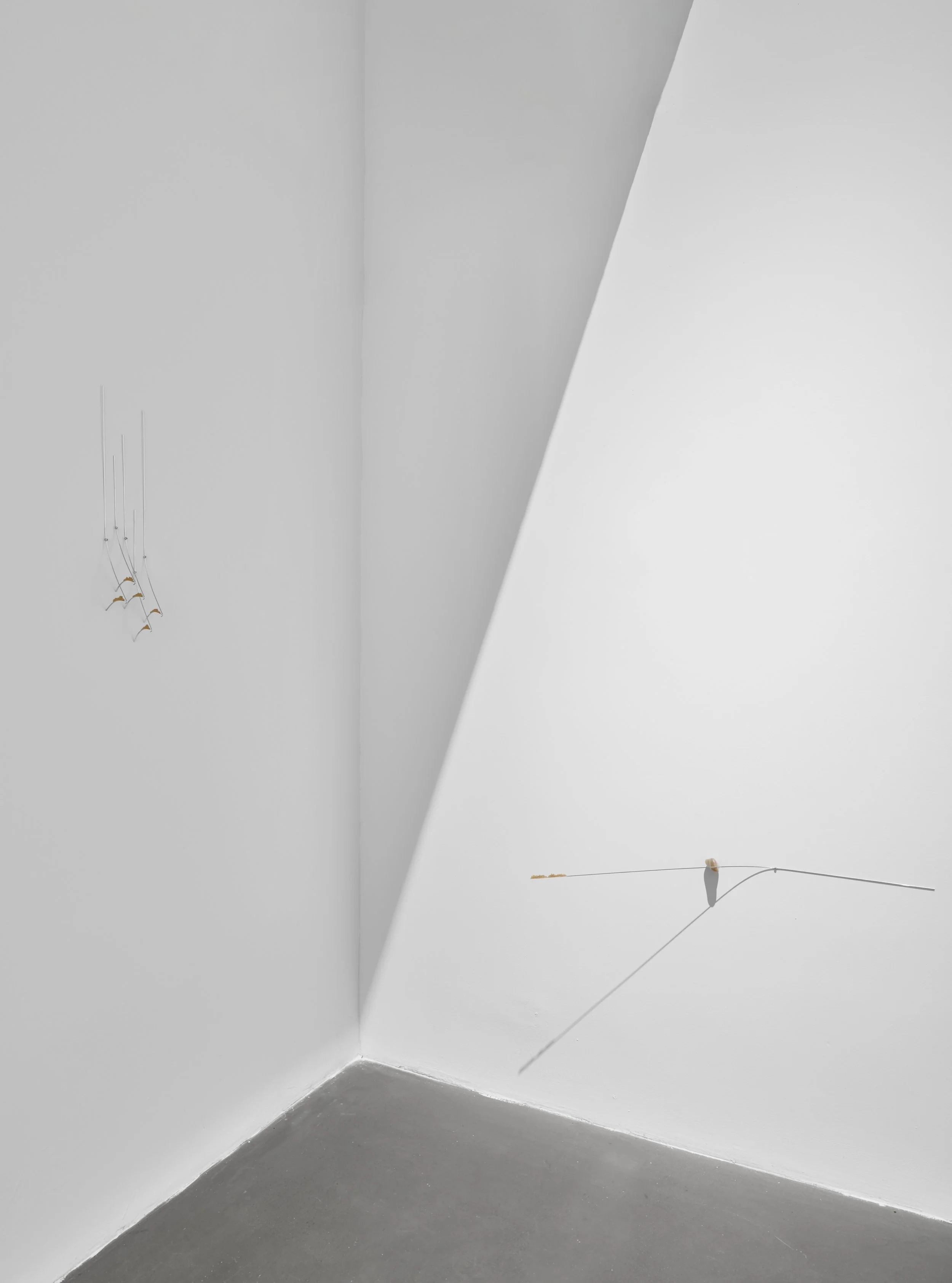 installation Views_19.jpg