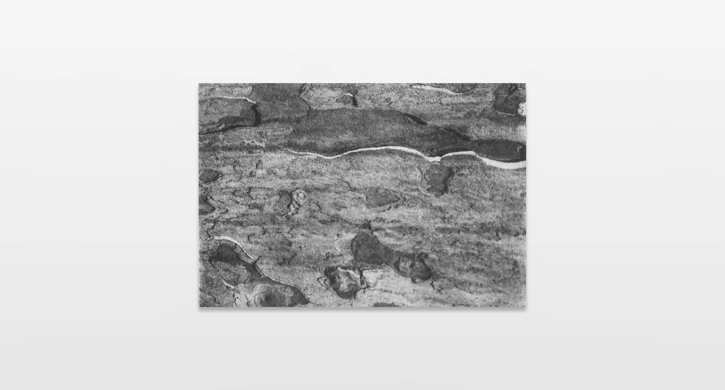 CAR006_1600_c - 参展.jpg