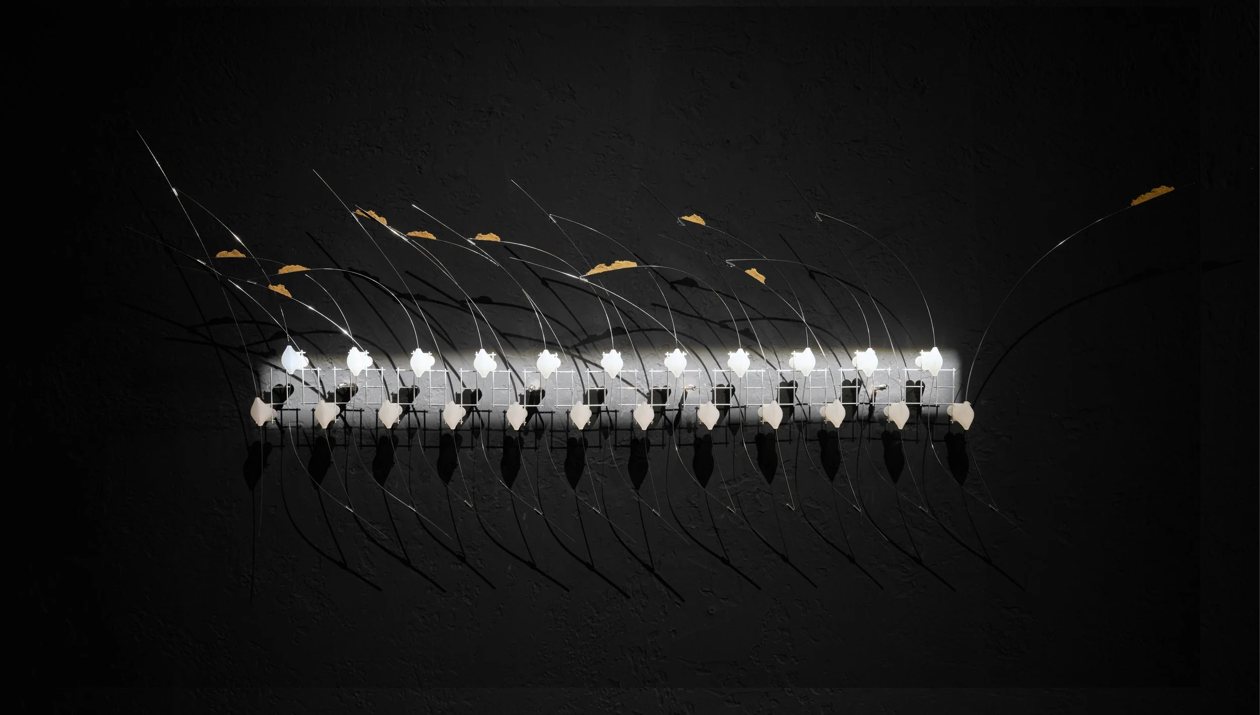 installation Views_26.jpg