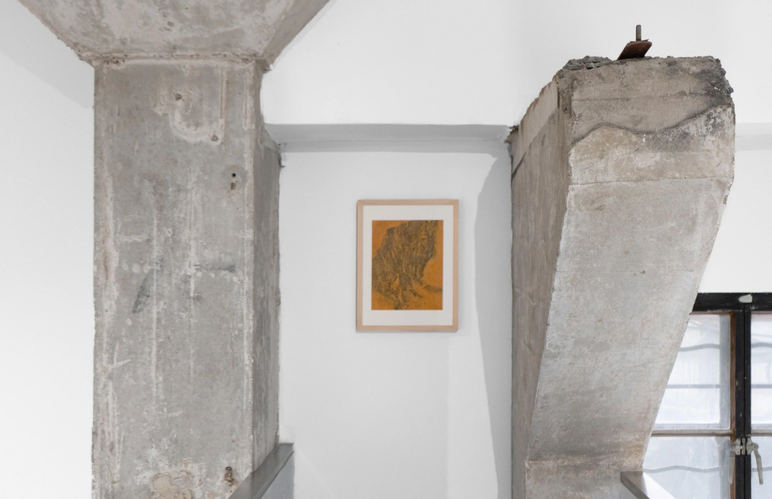 17. 展览「剔骨术」现场图 Installation view _DEBONING', 2025, BROWNIE Project, 上海ShanghaiⓒBROWINE Project.jpg