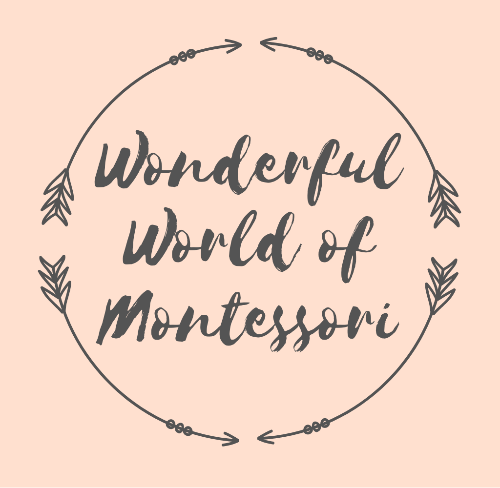 The Wonderful World of Montessori