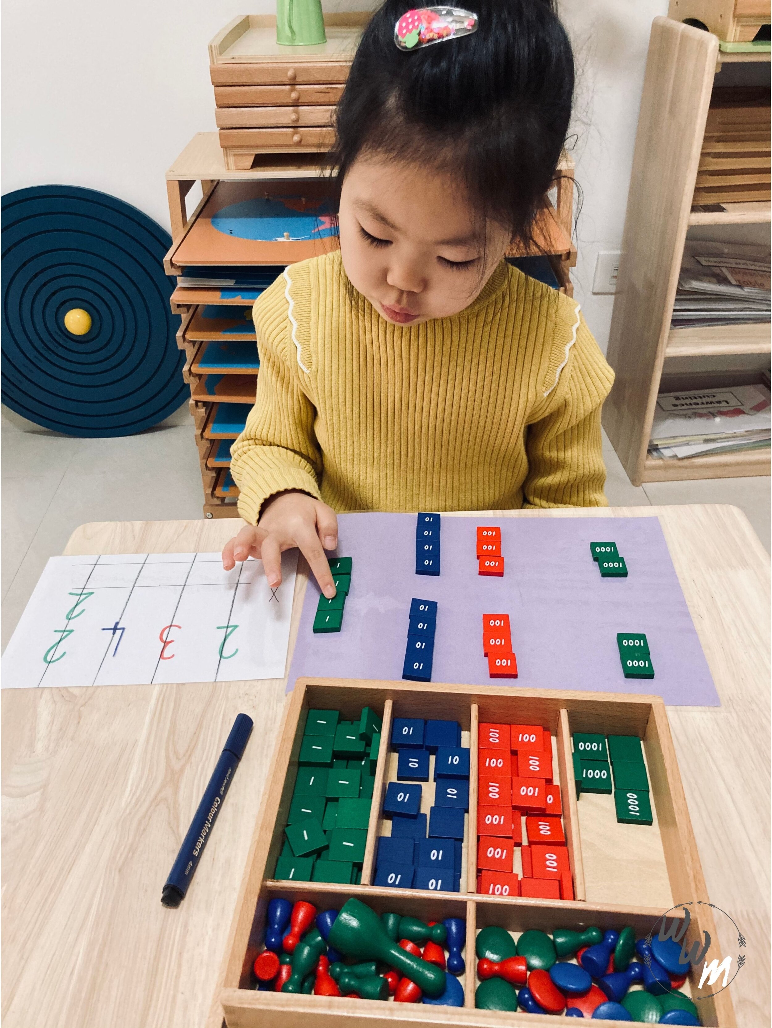 Stamp Game Details about   Montessori Materials